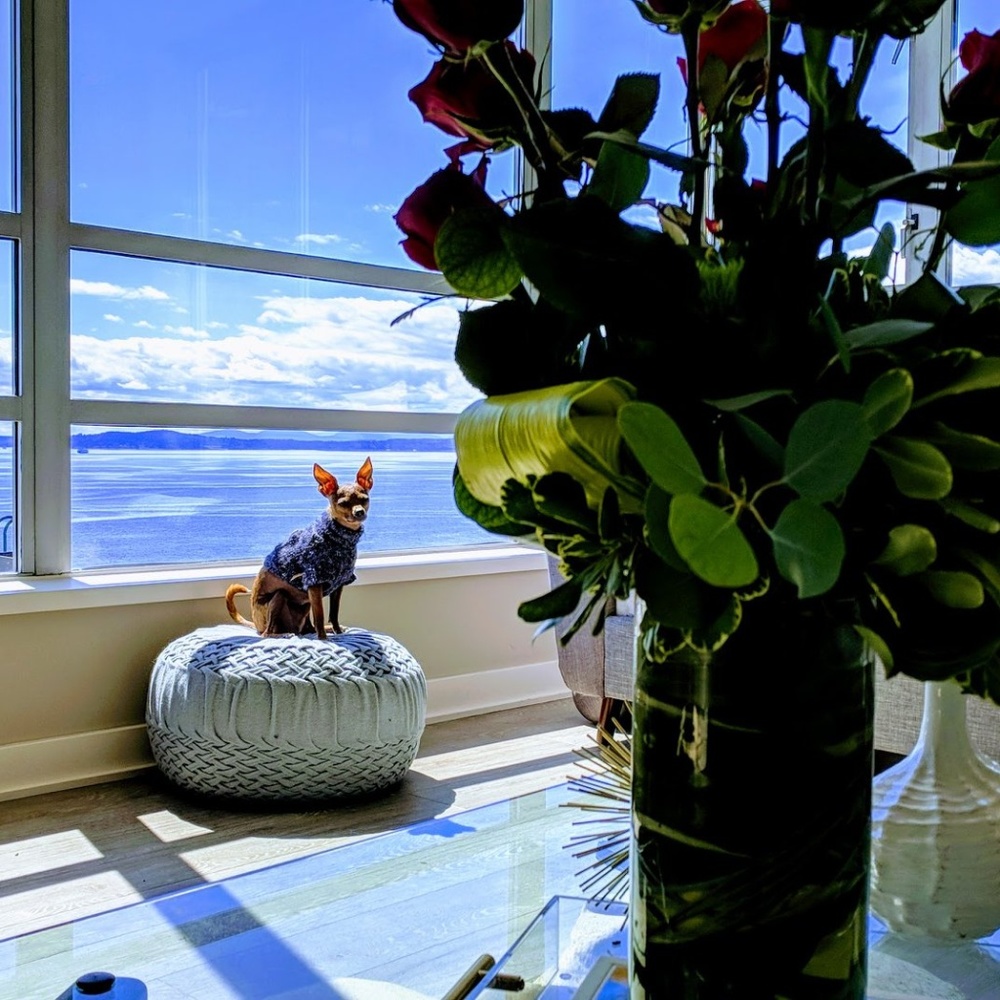 Luxury items like Louis Vuitton, Goyard and Gucci!